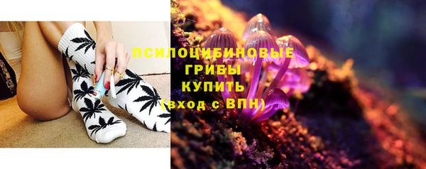 крисы Алексеевка