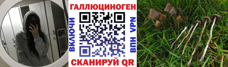Галлюциногенные грибы прущие грибы Межгорье